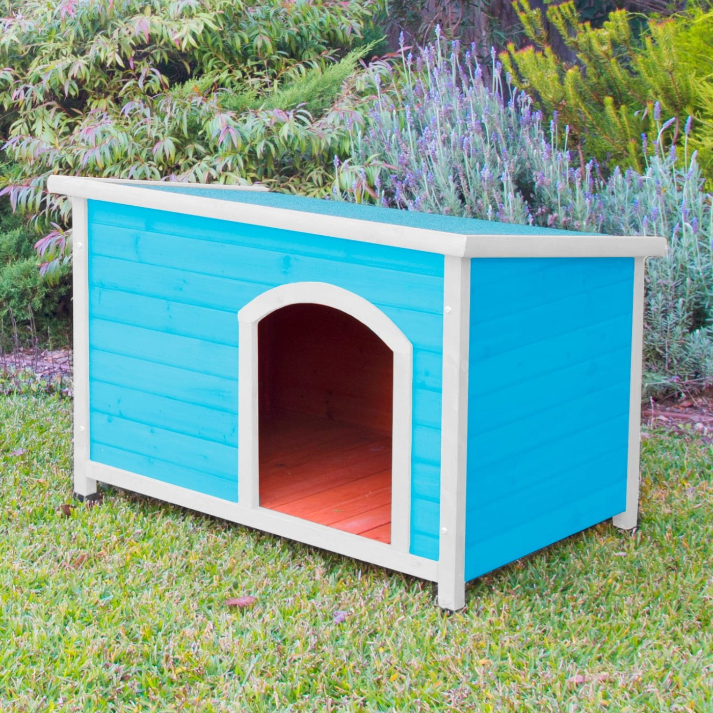 How To Painting Dog Kennel BrightonBeach Box 1