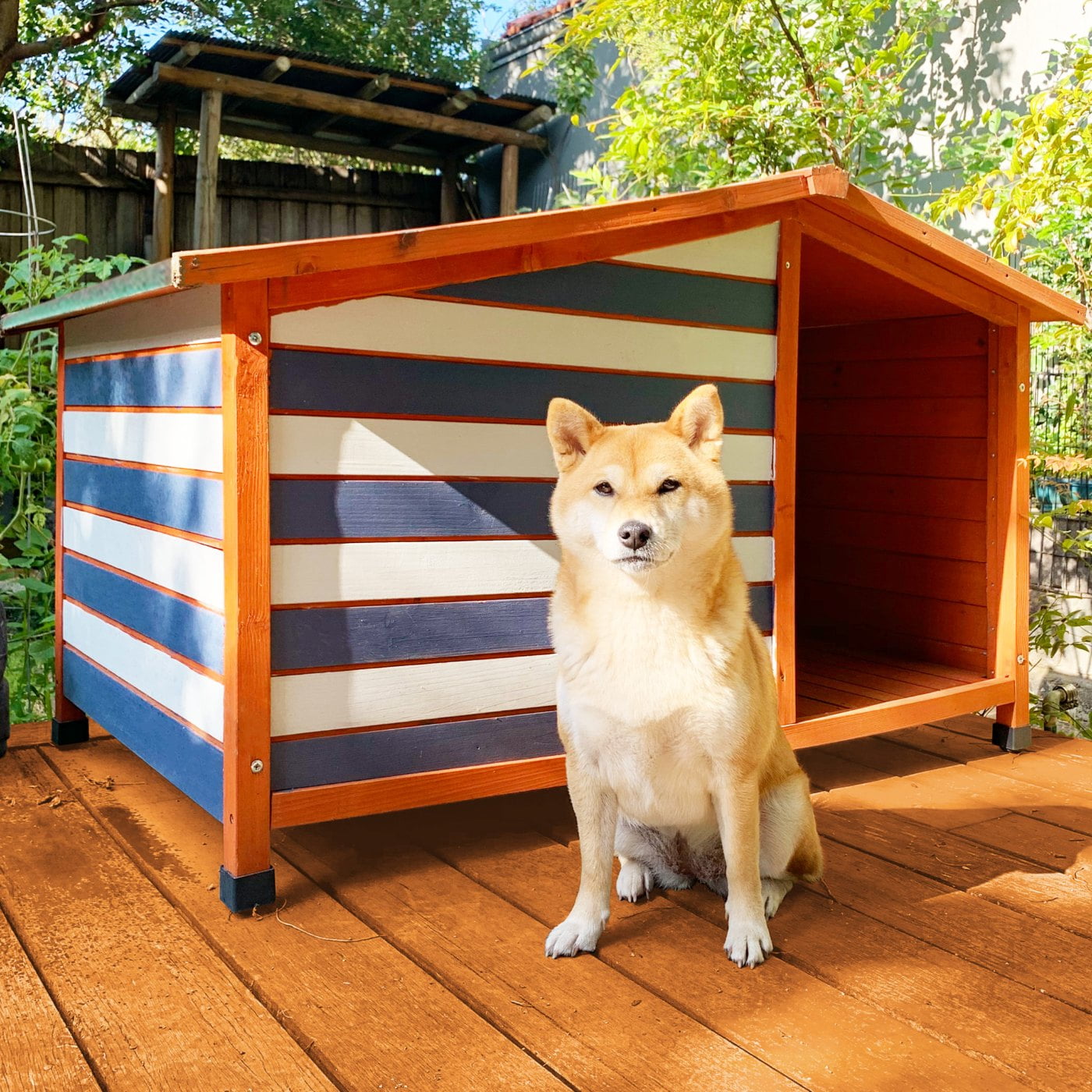 How To Painting Dog Kennel Chic Stripes 2