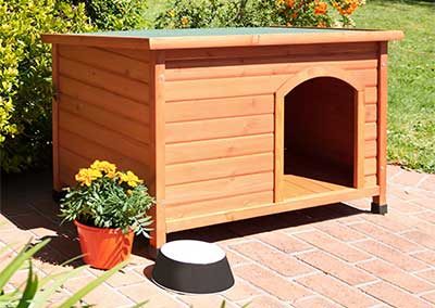 Setting up a dog kennel in your backyard