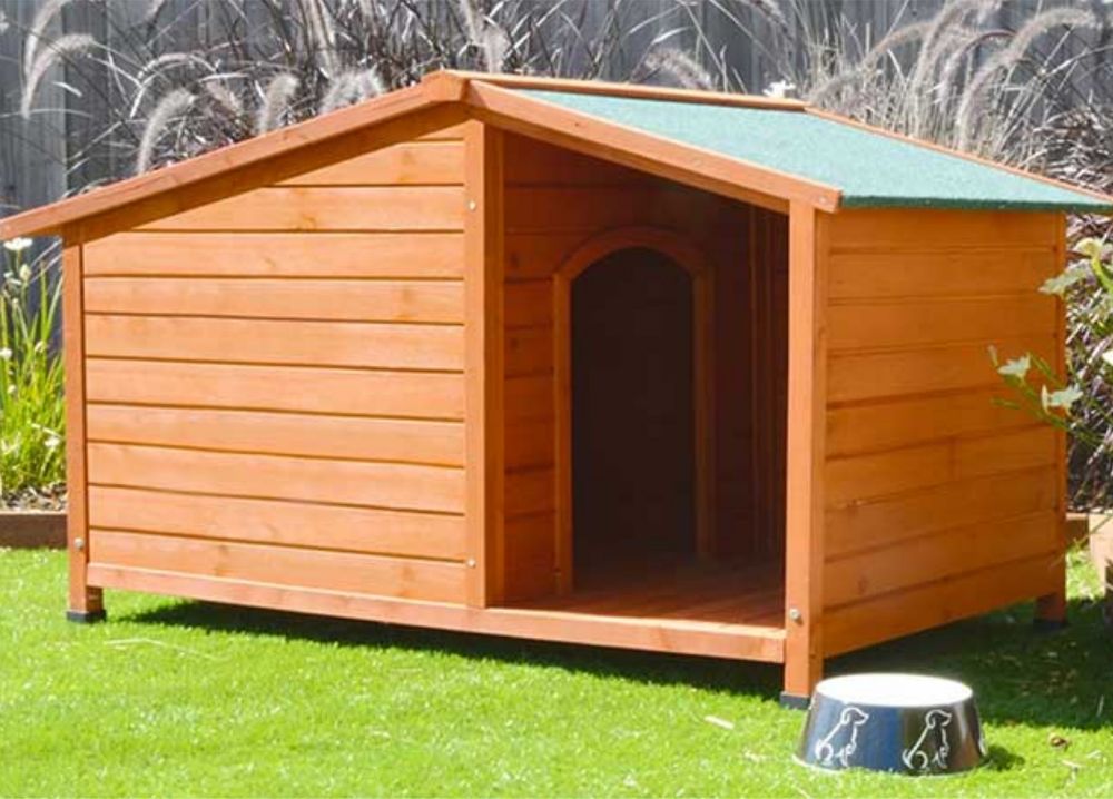dog kennel feature img