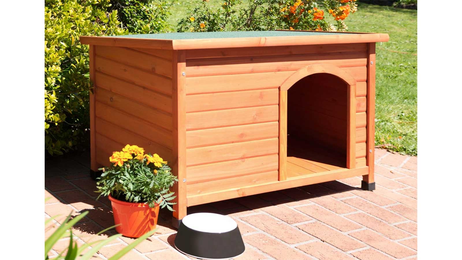 Moderate temperature of dog kennel img