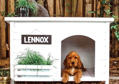 5 more ways to decorate your dog kennels