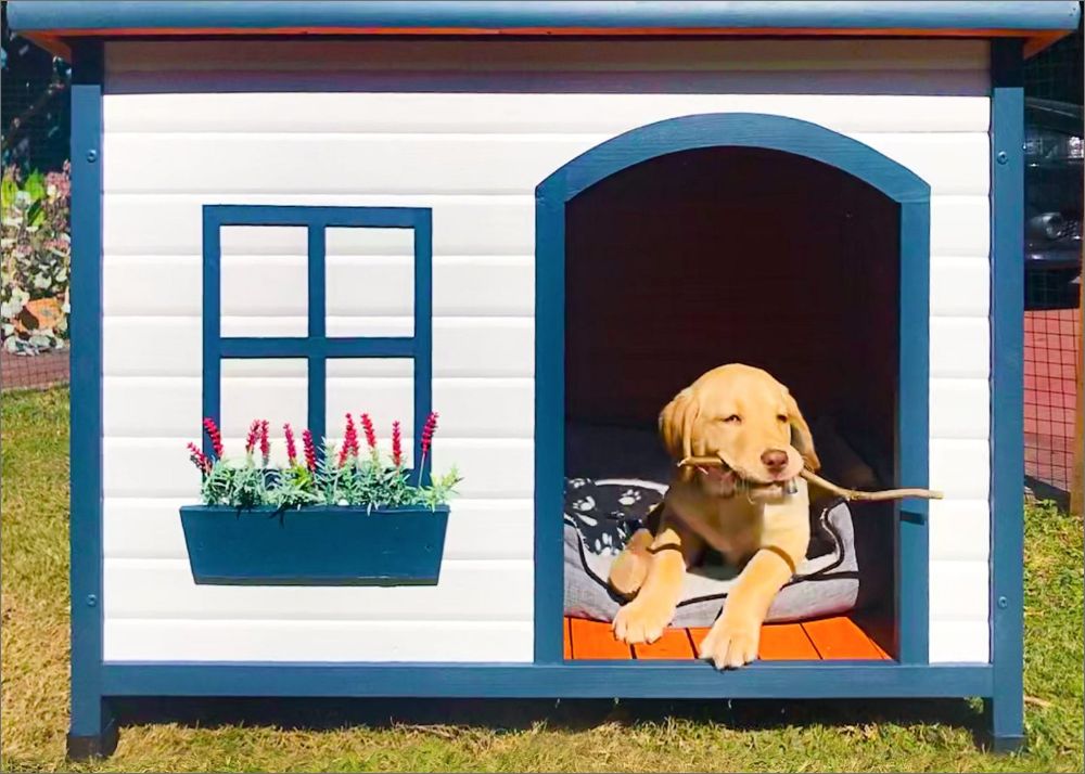 How To Painting Dog Kennel Back to Basics featured img