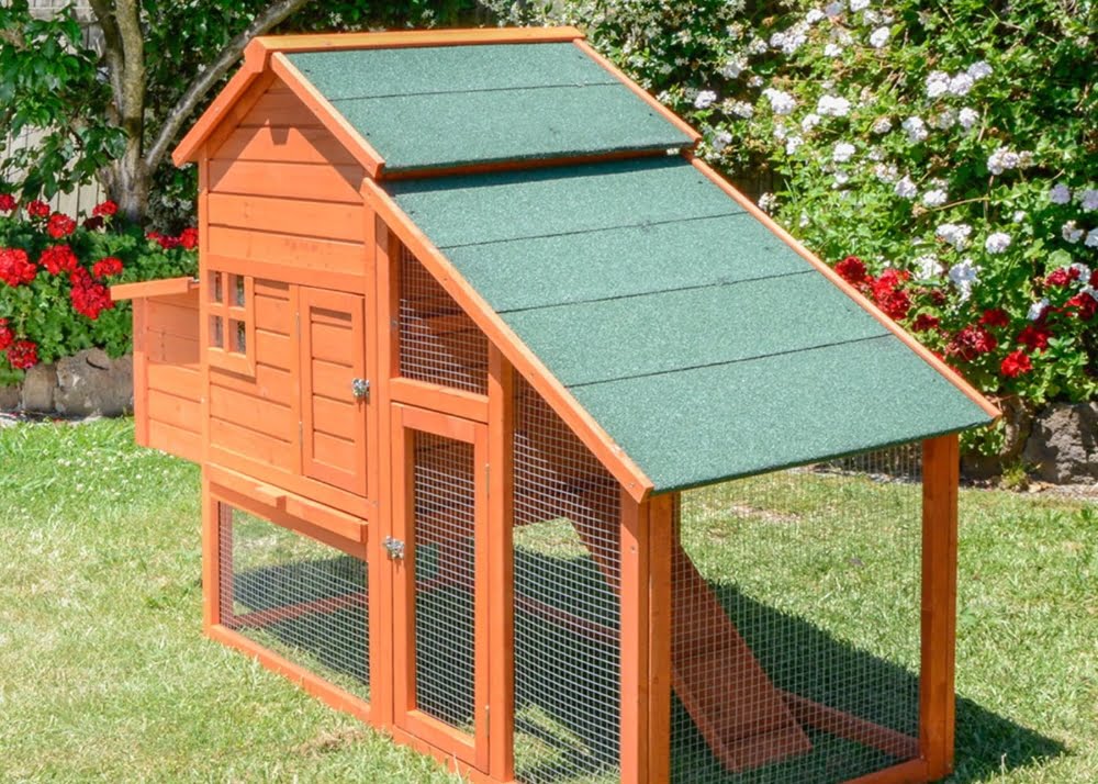 The Manor chicken coop in the backyard